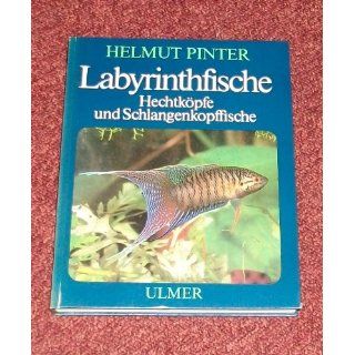 Labyrinthfische, Hechtköpfe und Schlangenkopffische 