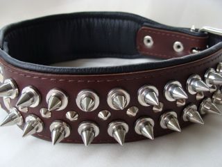 Lederhalsband,65/75cm,Stachel,Halsband,Leder,Nieten,Stachelnieten,65cm