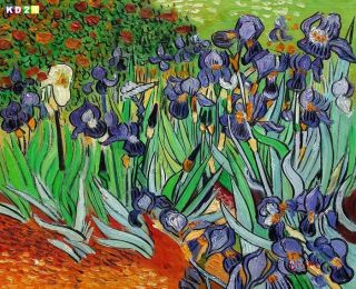 Vincent van Gogh   Blaue Iris c81481 50x60cm exzellentes Ölgemälde