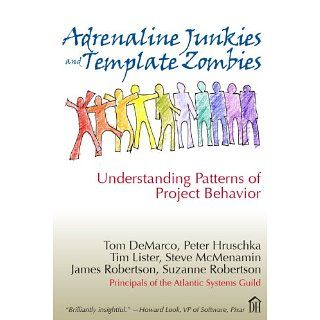 Adrenaline Junkies and Template Zombies Understanding Patterns of