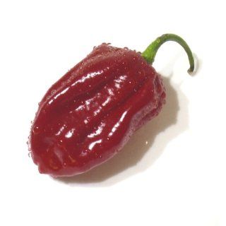 Habanero red Chili rot   sehr scharf   20 Samen Garten