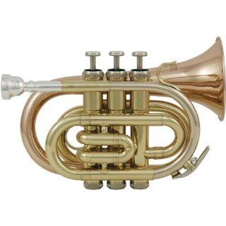 Roy Benson PT 101 G Taschentrompete: Musikinstrumente