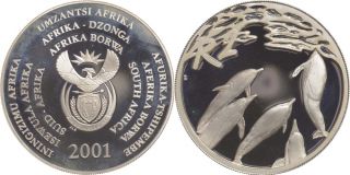 Südafrika 2 Rand 2001 PP  Delfine  selten #38