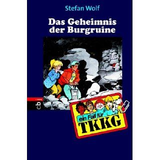 Das Geheimnis der Burgruine Band 107 Stefan Wolf Bücher