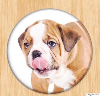 Bulldoggen Welpen verschiedene Motive AUSWAHL Button, Magnet, Spiegel