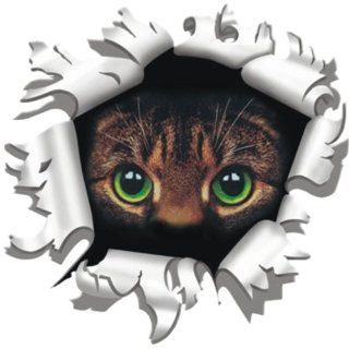 Aufkleber Einschussloch Katze, 175 mm: Küche & Haushalt