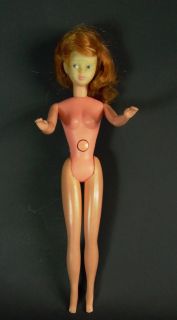 Barbie Rarität   Schildkröt 1960   extrem selten