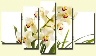 lila weiße Orchideen 170 cm x 100 cm BILD BILDER #304