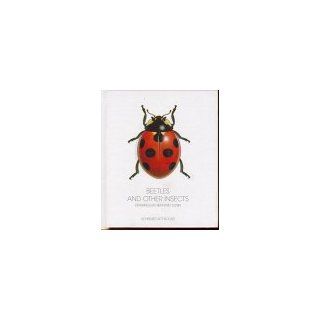 Beetles and other Insects Drawings by Bernhard Durin (Bonsai Books
