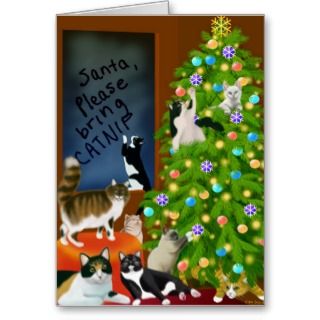 Cat Christmas Cards, Cat Christmas Card Designs