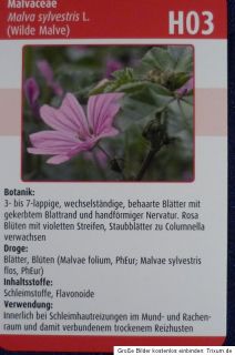Spielkarten Quartett 52 Karten Arzneipflanzen Govi Verlag