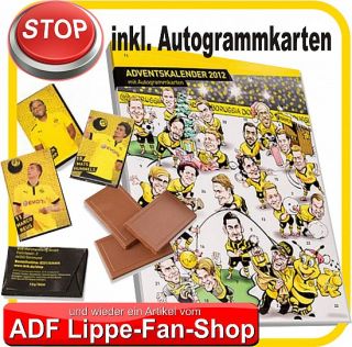 BVB Comic Adventskalender XXL 2012 Autogrammkarten Borussia Dortmund