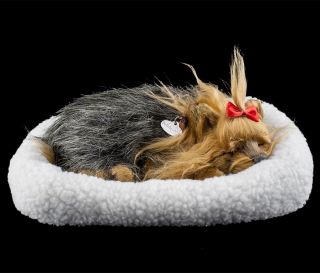Perfect Petzzz atmender schlafender Yorkie 25cm Hund Soft lebensecht