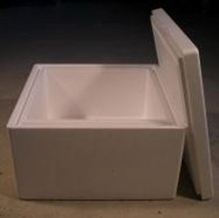 Styropor Box XL   525 x 375 x 285 mm   56 Liter für Garnelen, Fischen