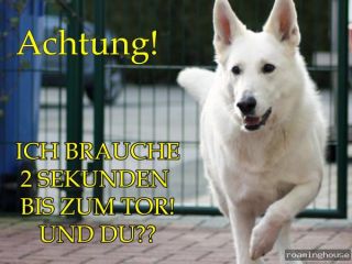 Weißer Schäferhund Aluschild Warnschild 4 zur Auswahl
