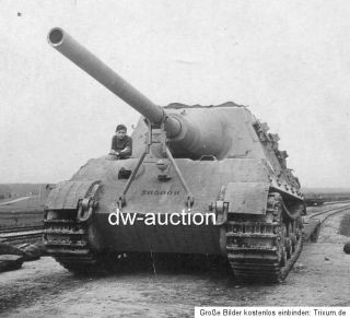 Tank Tiger mit Nummer von der schw. Panzer Jg. Abt. 653 TOP (2)