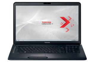 Notebook Toshiba Satellite C670D 115 Laptop 17,3 320GB Hdd 2GB RAM