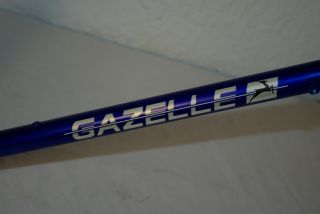 NOS/NEU Gazelle Formula Triathlon Reynolds 501 Rennrad Rahmen Stahl