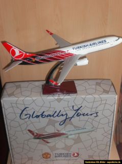 TURKISH AIRLINES Boeing B737 800 WL Resin1:100 Limited Edition