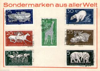 014   7 Briefmarken   DDR   Tierpark Berlin   Tiere   siehe scan