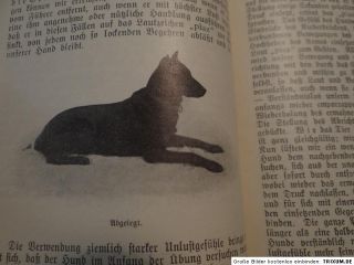 Most Leitfaden Abrichtun Polizei u. Schutzhund 1910