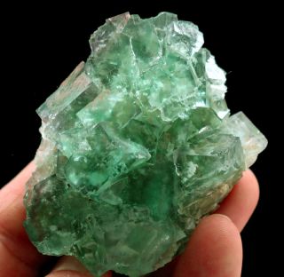 771 Fluorite green Okorusu Namibia