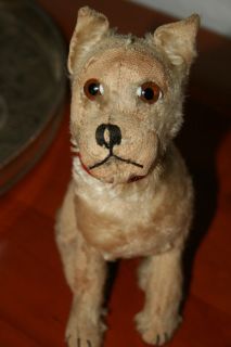 Steiff Hund Rattler mit Halsmechanik • 22 cm • 1930 42 • antique