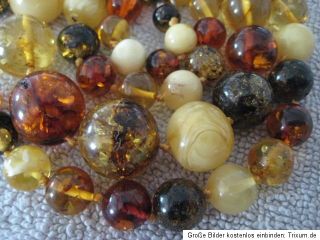 Multi Color Bernsteinkette Amber Necklace