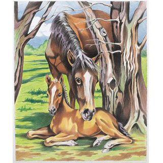 Color By Number 9x12 inch Horse and Foal Kit