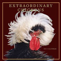 Extraordinary Chickens 2011 Calendar
