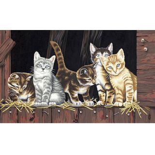 Paint By Number Barnyard Kittens Kit