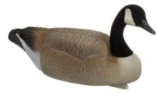 Big Foot Canada Goose Floater Decoy   113481: Sports