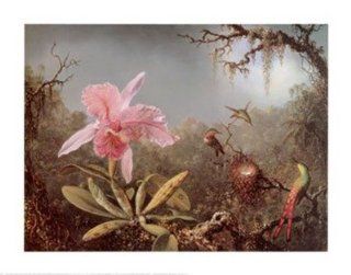 Cattleya Orchid and Three Brazilian Hummingbirds Finest