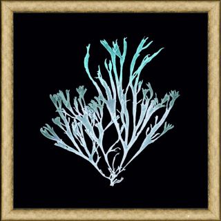 Sea Weed Print III Framed Print Art Today: $174.99