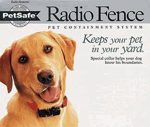 Petsafe In Ground Dog Fence