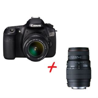 Canon EOS 60D Duo EF S 18 55 + 70 300mm F4 5,6 DG   Achat / Vente