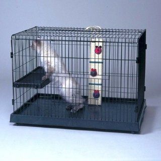 General Cage CD 78 Cat Domain Cat Enclosure   Small Pet