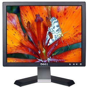 17 Dell E176FPc LCD Monitor (Dark Gray) Electronics