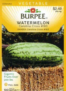 64881 Watermelon Carolina Cross #183 Seed Packet Patio, Lawn & Garden