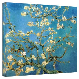 almond tree wrapped canvas today $ 54 99 sale $ 49 49 $ 112 49 save