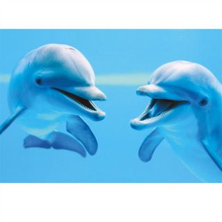 Clementoni Dolphins Puzzle   Achat / Vente PUZZLE Clementoni Dolphins