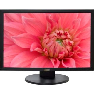 DoubleSight Displays DS 245V 24 LCD Monitor   1610   5 ms