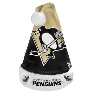 Pittsburgh Penguins 2011 Colorblock Runoff Logo Santa Hat Today $18