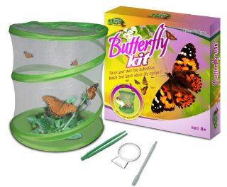 Fascinations GreenEarth Butterfly Kit: Toys & Games