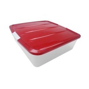 Iris Holiday Box with Buckle Up Lid   Set of 2 (Clear/Red