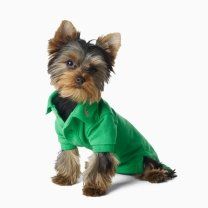 RALPH LAUREN HOME Classic Dog Polo: Clothing