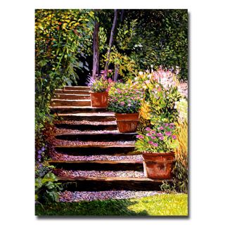 David Lloyd Glover Pink Daisies Wooden Steps Canvas Art Today $52