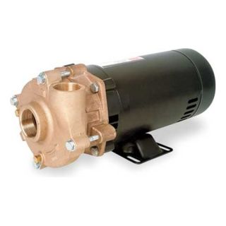 Dayton 4TE40 Centrifugal Pump, 3/4 HP, 1 Phase, 115/230V