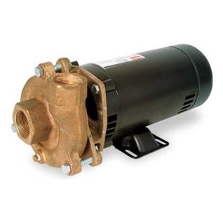Dayton 4TE48 Centrifugal Pump, 3 HP, 1 Phase, 230V, 12.3A