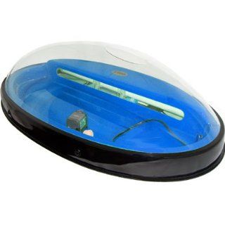 Oval Shape Bubble Hanging Aquarium Complete Self Contained